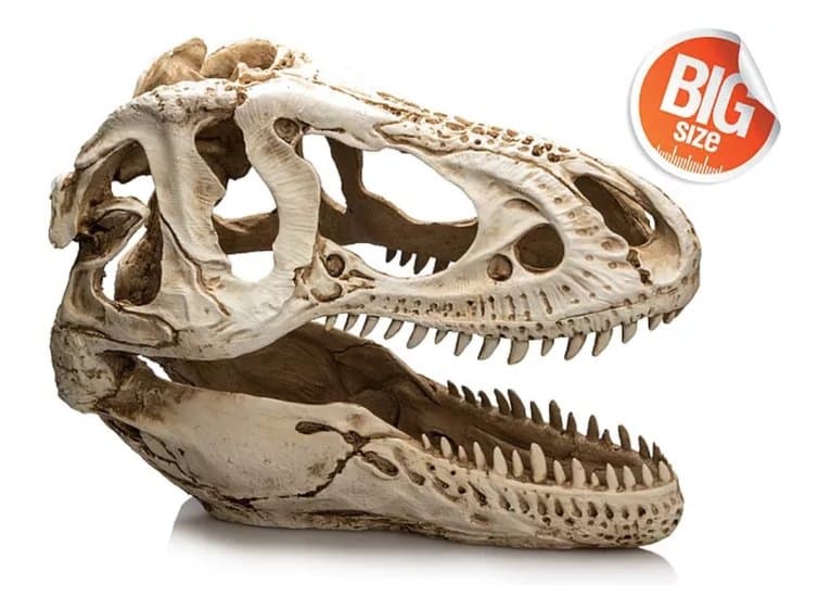 Giganterra T-Rex XXL Decoratie (G04-00343)