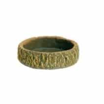 Hatchling Dish, water- voerbak, klein, 11 x 10 x 2.5 cm