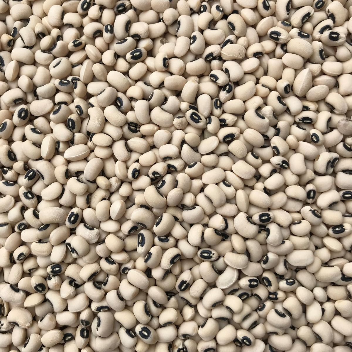 Black Eye Beans ( 450 Gram )
