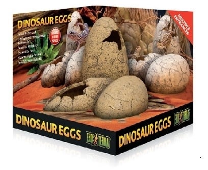 Dinosaur eggs