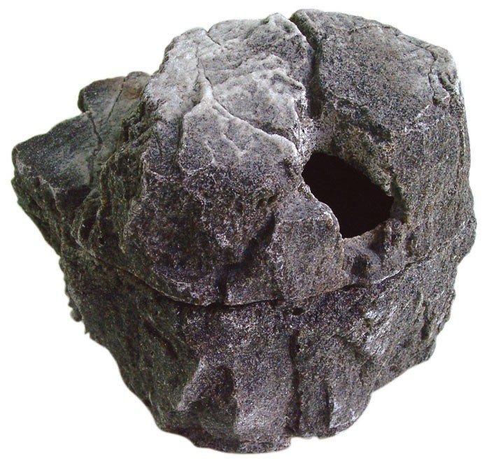 Dragon Wet-Box Lavakleur (Small)