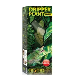 Dripper plant small