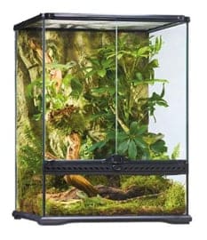 Exo terra glass terrarium wide 45x45x60cm (alleen afhalen)