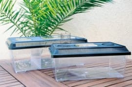 Faunabox plat jumbo-schot 45x30,5x17,5cm