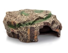 Giganterra grot forest M 16x10x7cm