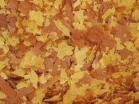 Goudvis vlokken 5000 ml