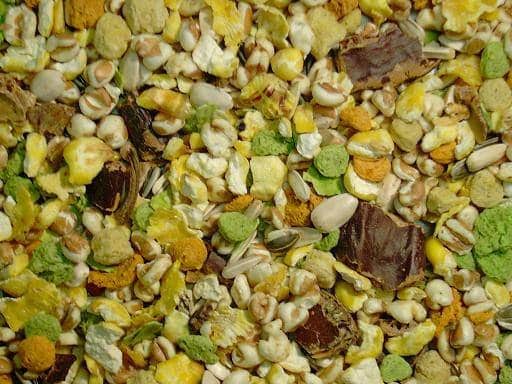 Lekkerbekmix voor knaagdieren (emmer 900 gram)