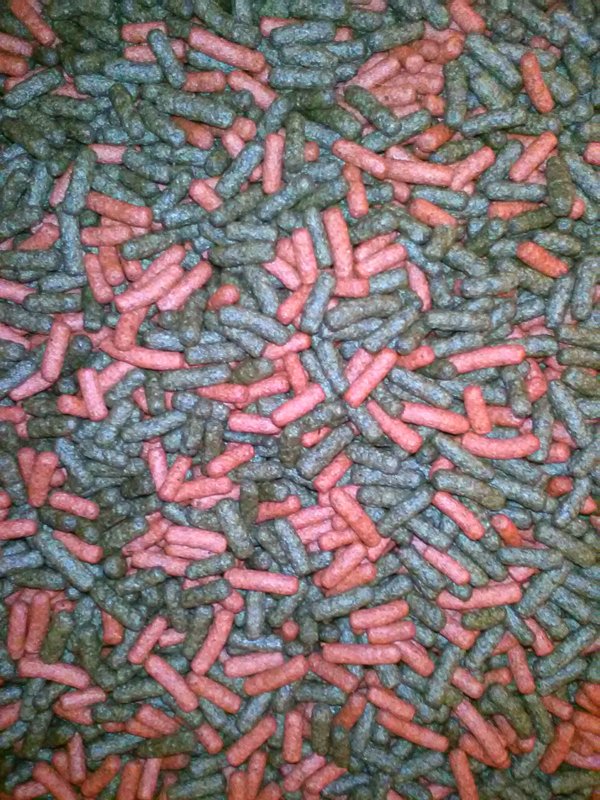 Schildpadden sticks Gemengd ( 1 Liter )