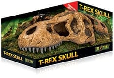 T-Rex skull